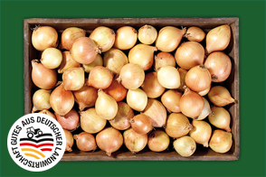 Produktbild »Speisezwiebeln«