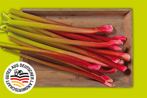 Produktbild »Rheinländer Rhabarber«