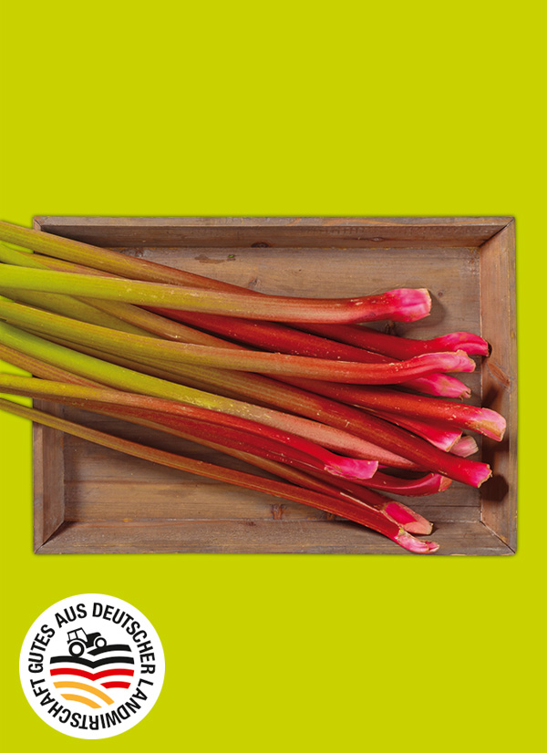 Produktbild »Rheinländer Rhabarber«