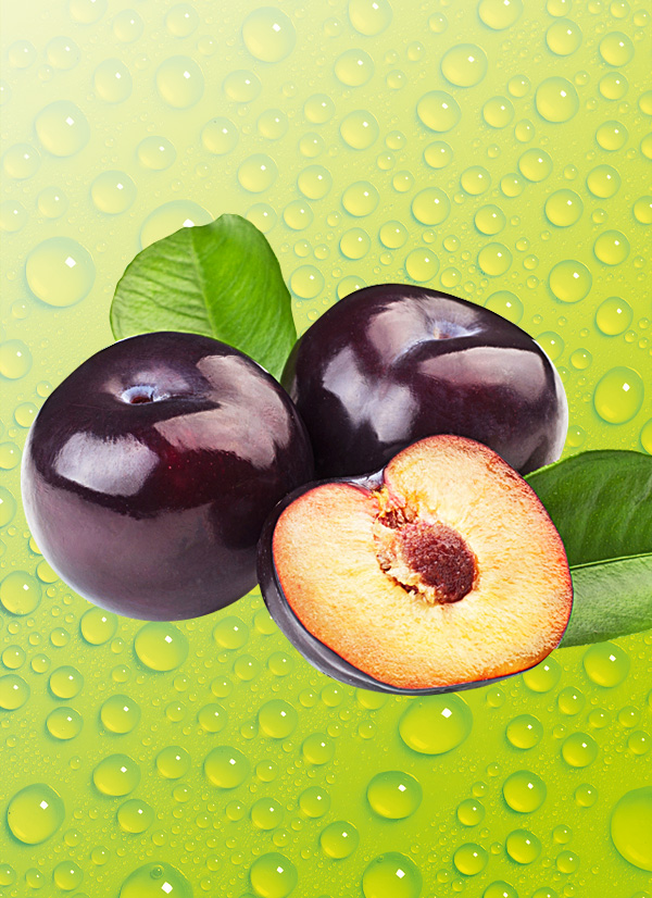 Produktbild »Pflaumen«