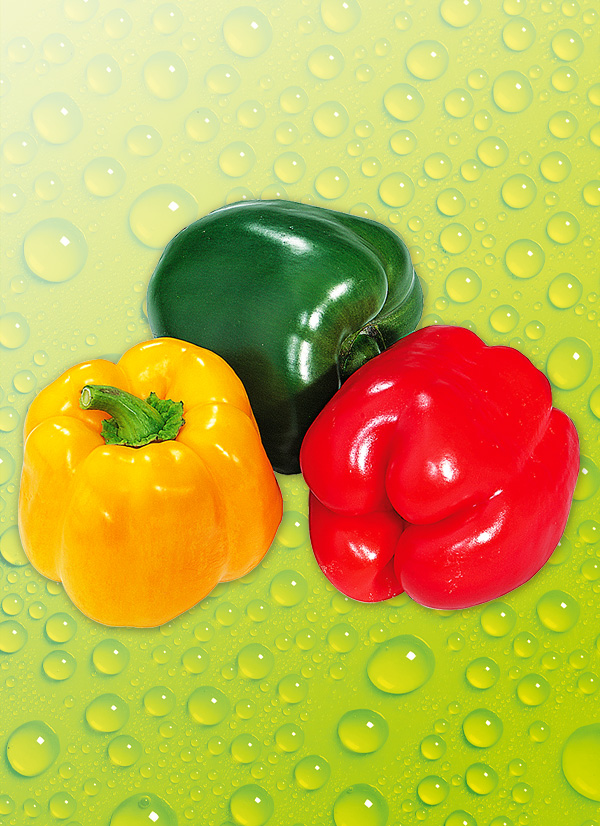 Produktbild »Paprika Mix«