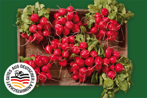 Produktbild »Magdeburger Börde Radieschen«