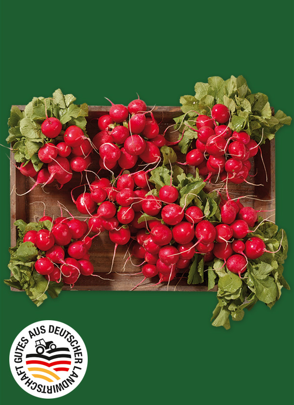 Produktbild »Magdeburger Börde Radieschen«