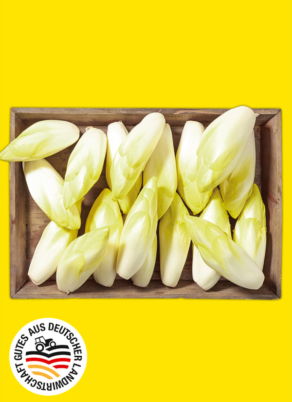 Produktbild »Chicorée«
