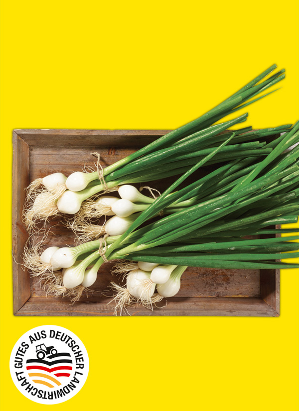 Produktbild »Lauchzwiebeln«