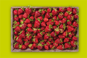 Produktbild »Erdbeeren«