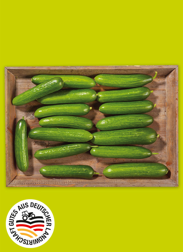 Produktbild »Rheinländer Mini-Gurken«