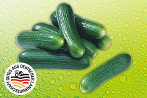 Produktbild »Bauerngurken«