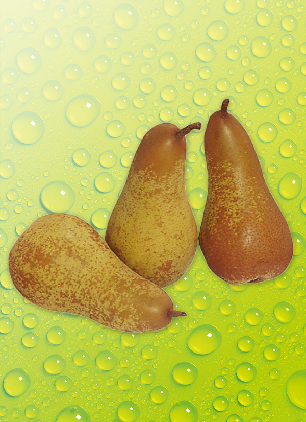 Produktbild »Birnen gelegt«