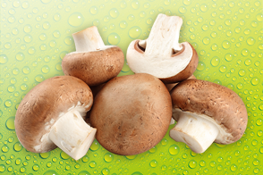 Produktbild »Champignons«