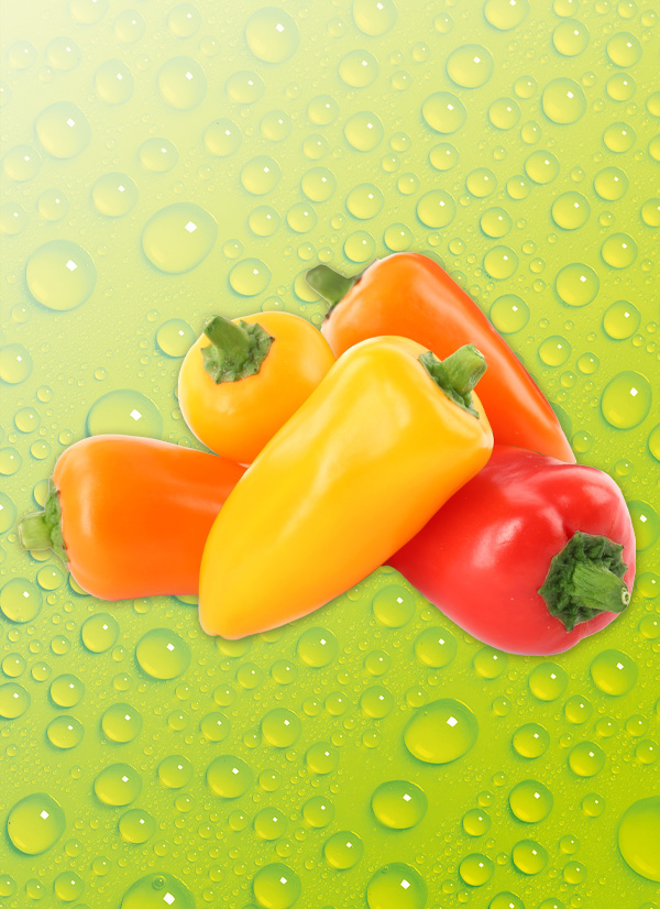 Produktbild »Snackpaprika Mix«