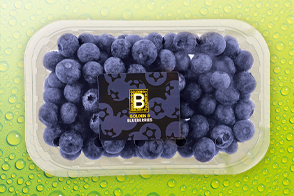 Produktbild »'Golden B' Kultur-Heidelbeeren«