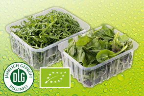 Produktbild »Bio-Salat sortiert«