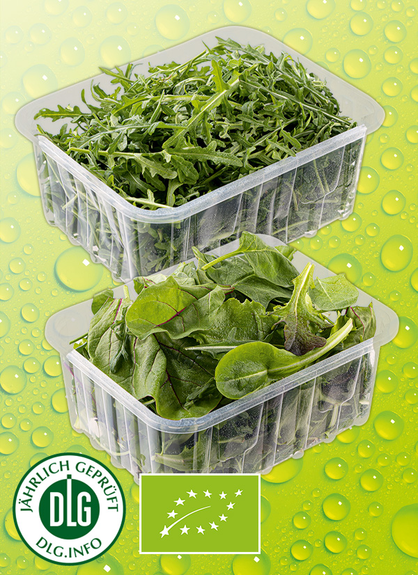 Produktbild »Bio-Salat sortiert«