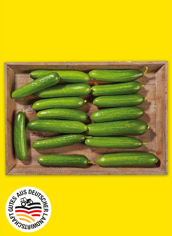 Produktbild »Mini Gurken«