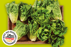 Produktbild »Rheinländer Mini Romana Salatherzen«