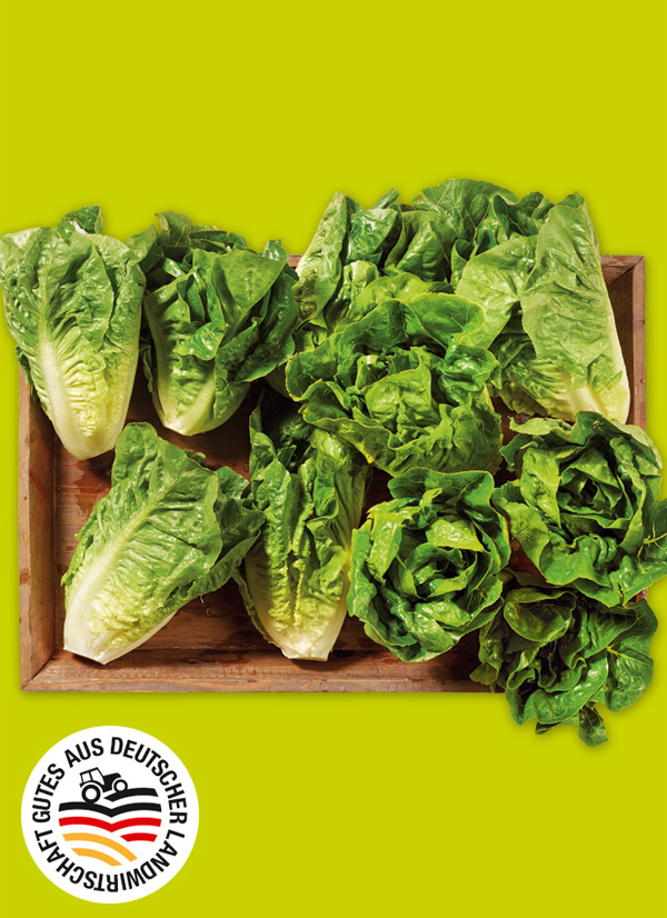 Produktbild »Rheinländer Mini Romana Salatherzen«