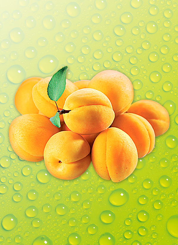 Produktbild »Aprikosen«