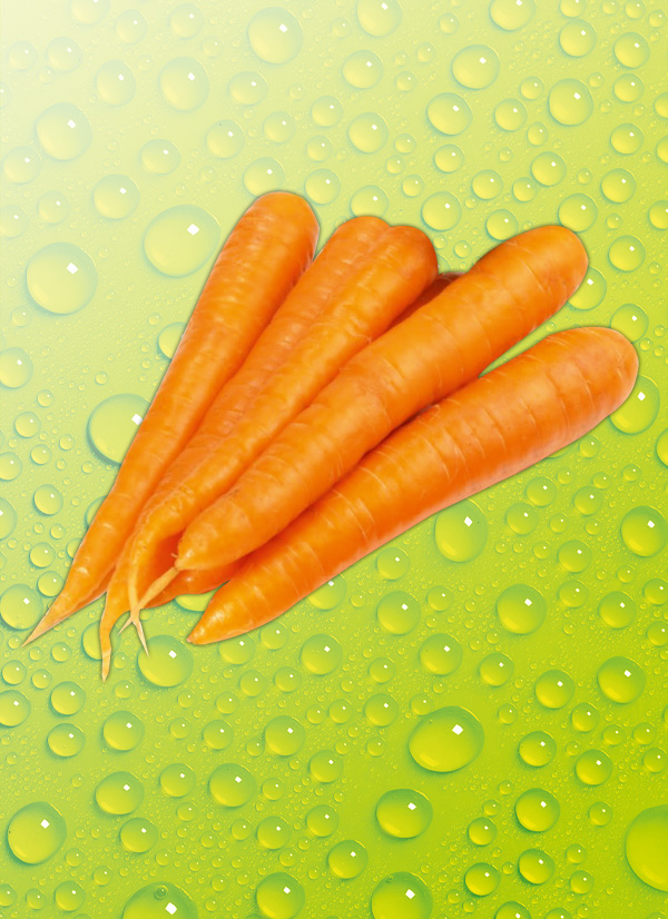 Produktbild »Karotten«