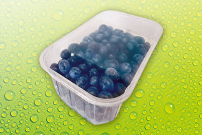 Produktbild »Heidelbeeren«