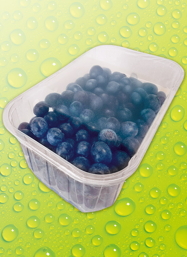 Produktbild »Heidelbeeren«