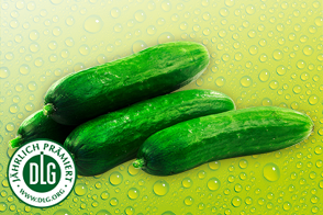 Produktbild »Mini-Gurken«