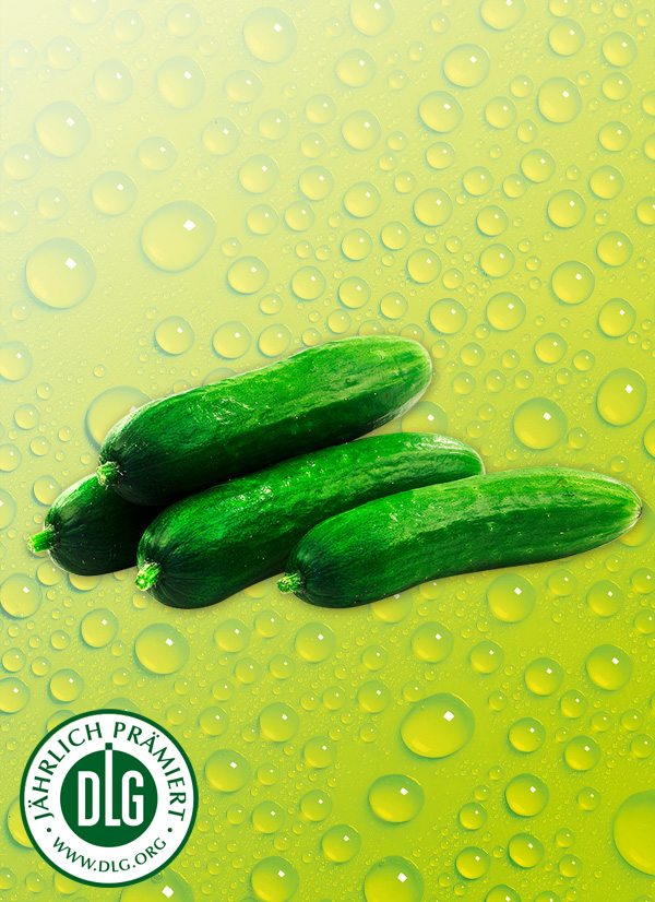 Produktbild »Mini-Gurken«