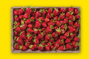 Produktbild »Erdbeeren«