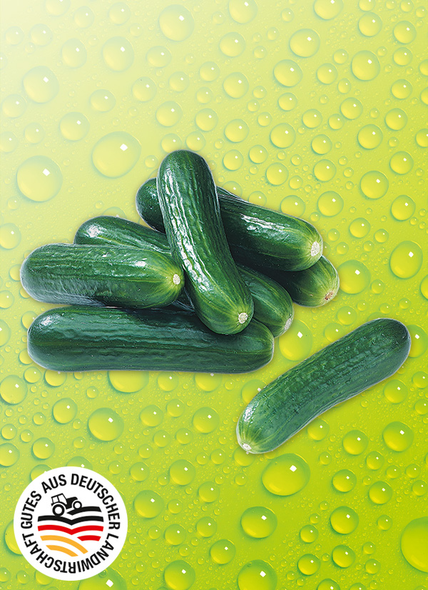 Produktbild »Fränkische Bauerngurken«
