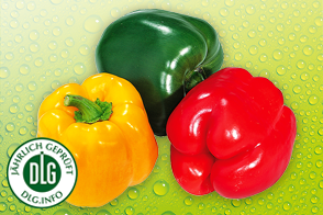 Produktbild »Bio Paprika«