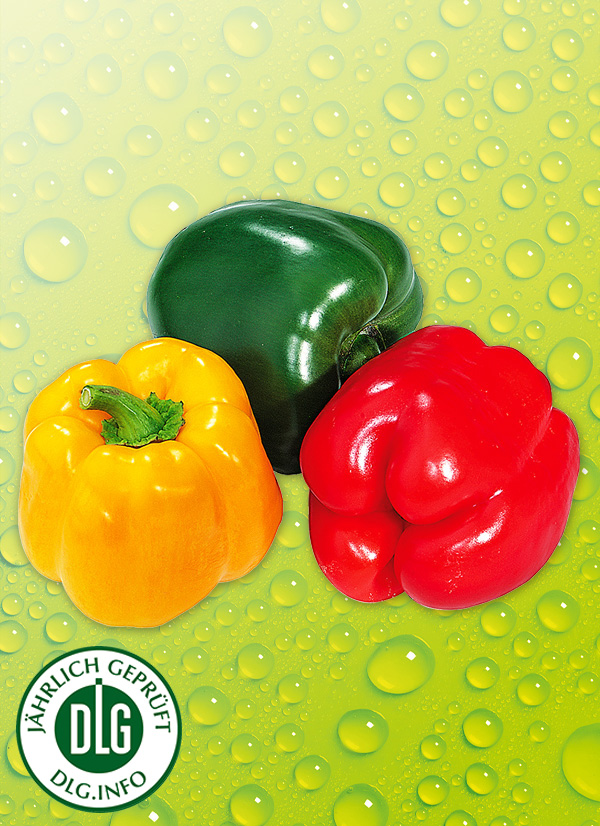 Produktbild »Bio Paprika«