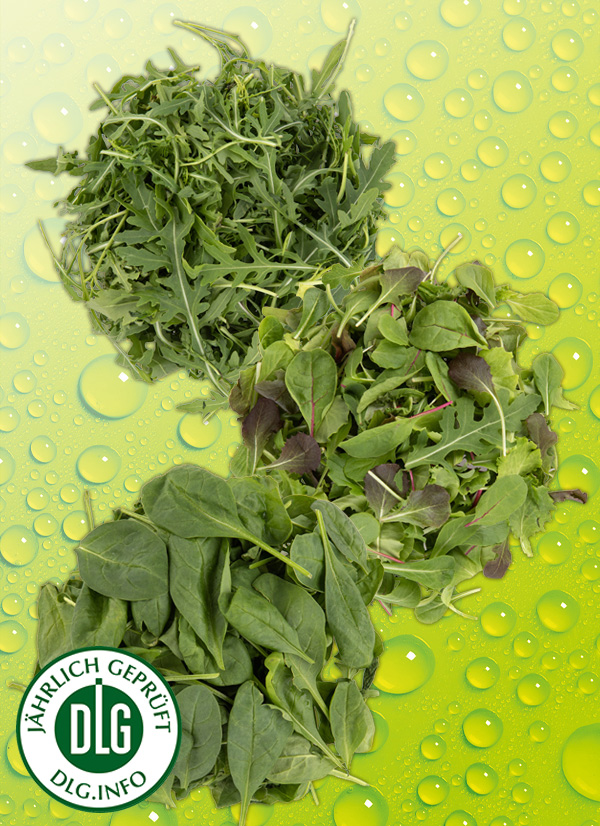 Produktbild »Bio Salate «