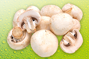 Produktbild »Champignons weiß«