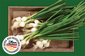 Produktbild »Magdeburger Börde Lauchzwiebeln«