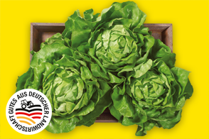 Produktbild »Filderstädter Kopfsalat«