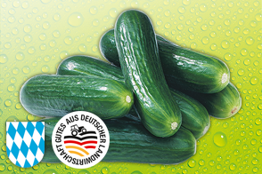 Produktbild »Bayerische Bauerngurken«