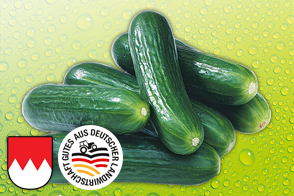 Produktbild »Fränkische Bauerngurken«