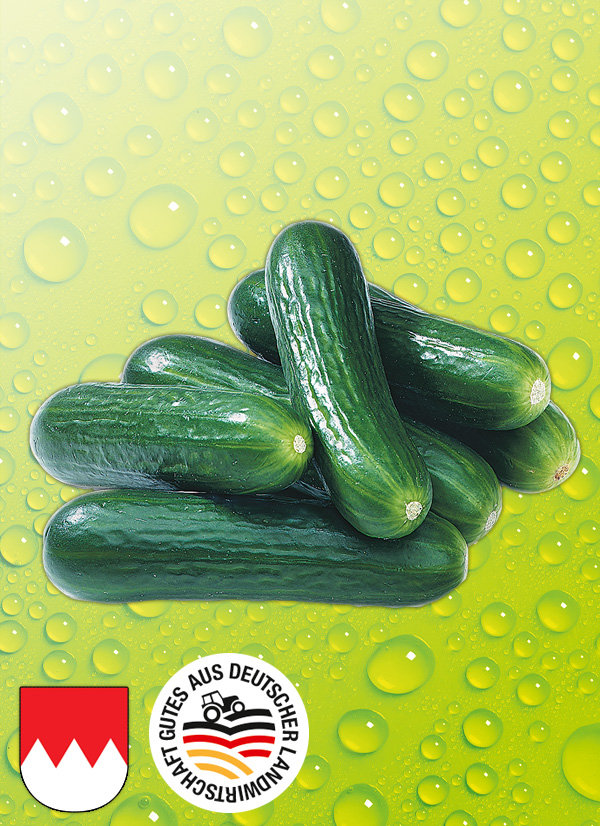 Produktbild »Fränkische Bauerngurken«