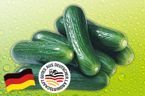 Produktbild »Bauerngurken«