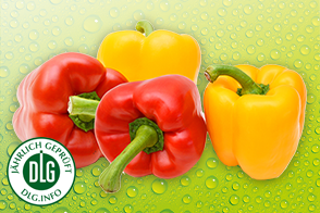 Produktbild »Bio Paprika«
