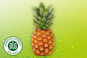 Produktbild »Ananas«
