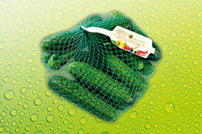 Produktbild »Bauerngurken«