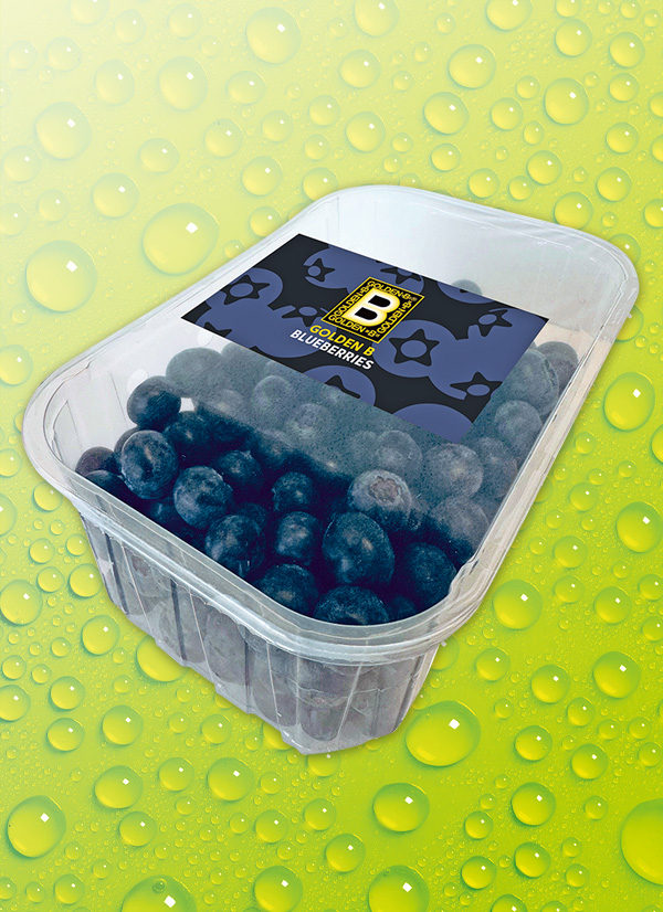 Produktbild »Heidelbeeren«