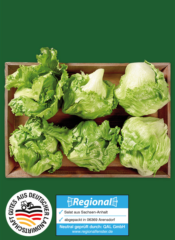 Produktbild »Magdeburger Börde Eisbergsalat«