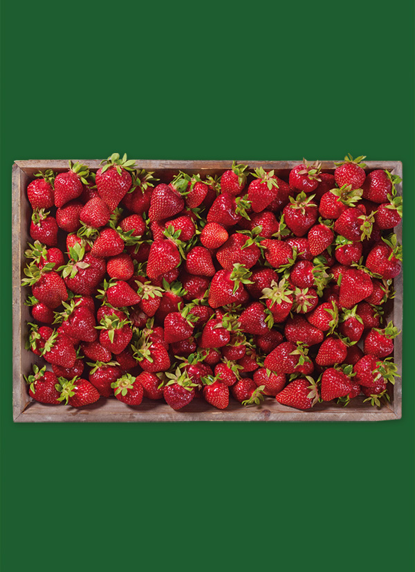 Produktbild »Erdbeeren«