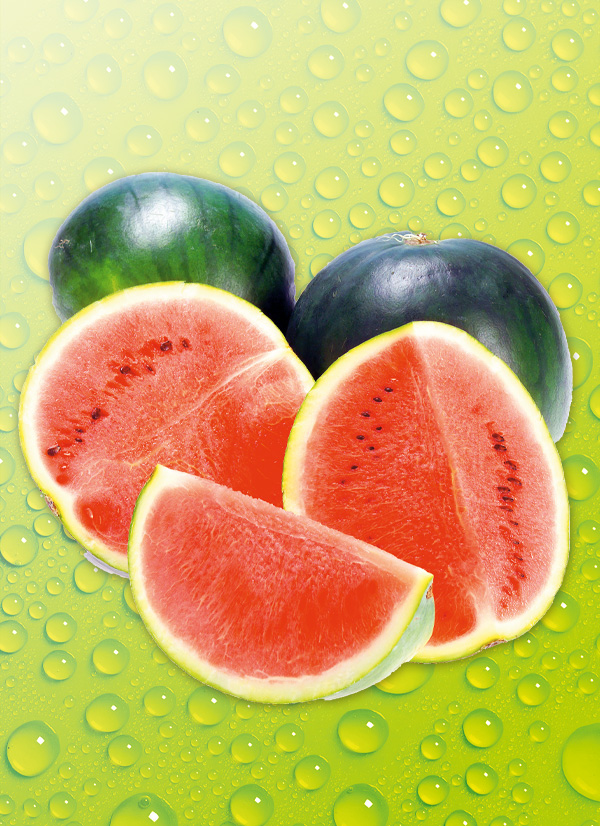 Produktbild »Mini Wassermelone«
