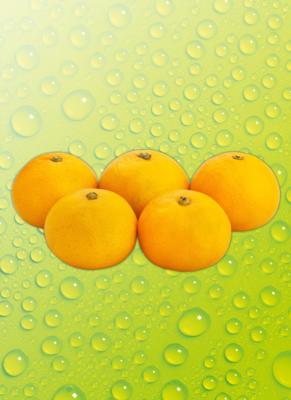 Produktbild »Mandarinen 