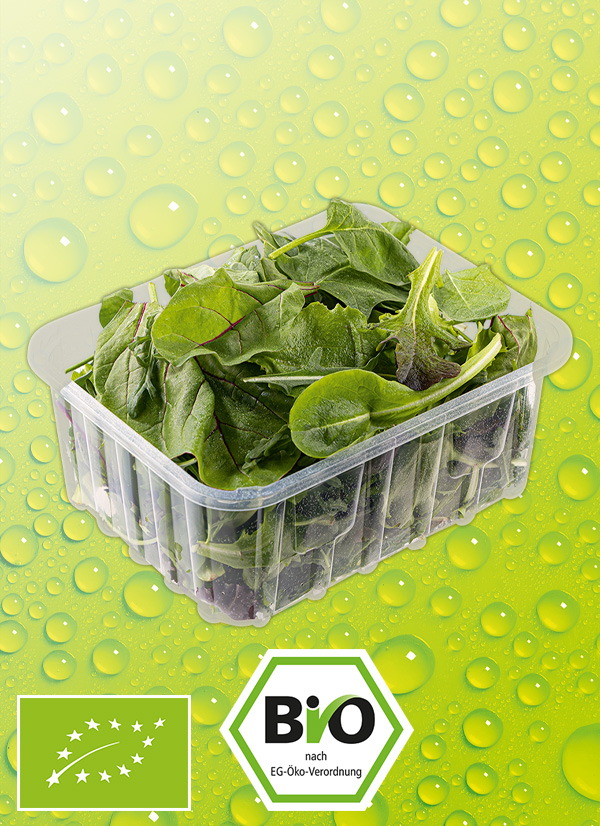 Produktbild »Bio-Salat sortiert«