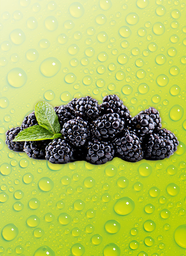 Produktbild »Brombeeren«