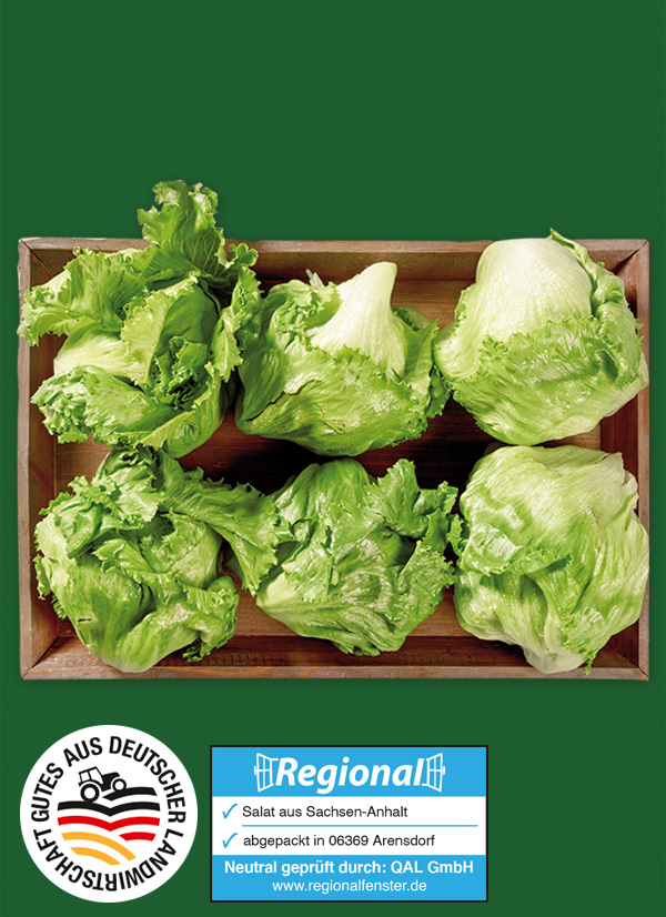 Produktbild »Magdeburger Börde Eisbergsalat«